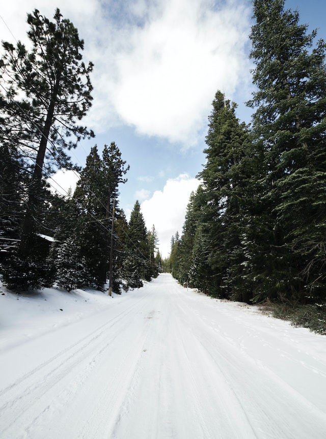 Shimla to Manali